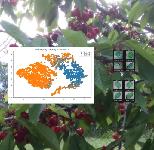 Cherry Leaf Mold Detection